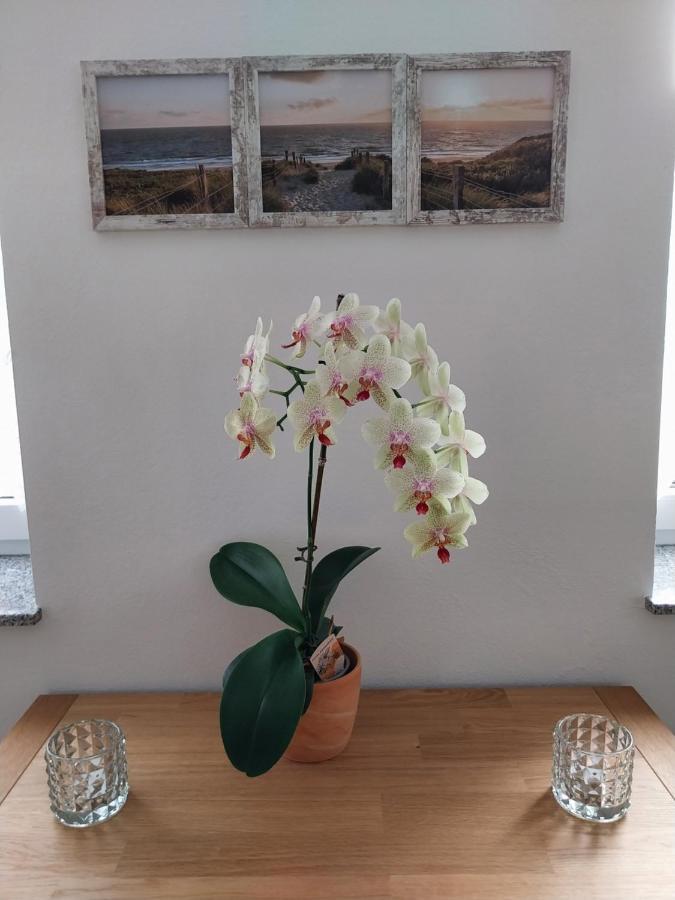 Ferienhaus Buschmuehle - シュトルペン エクステリア 写真